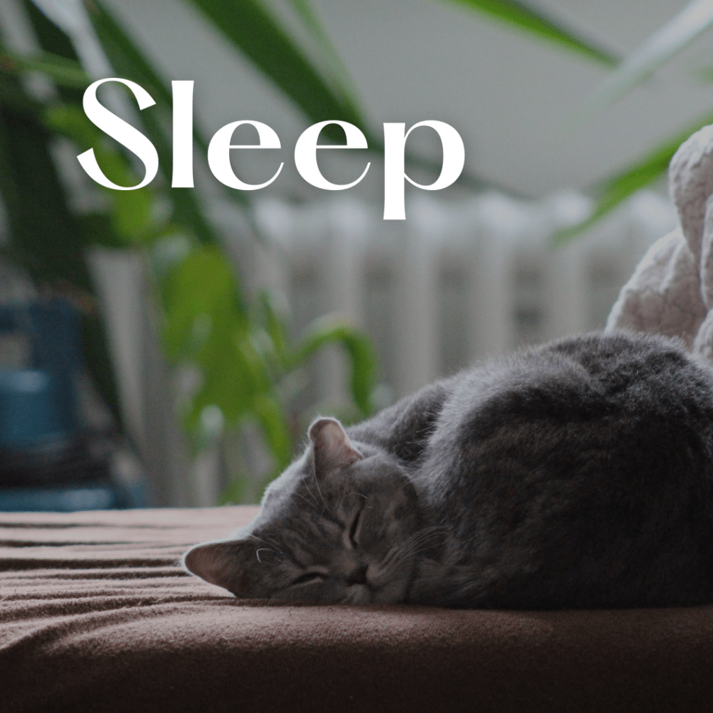 Unlock Better Sleep: Top Tips &&nbsp;Tricks